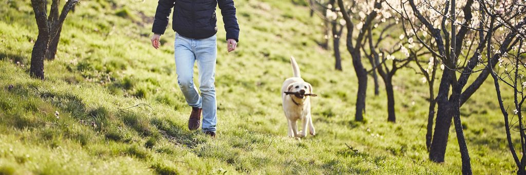 How Great Are Pets?!