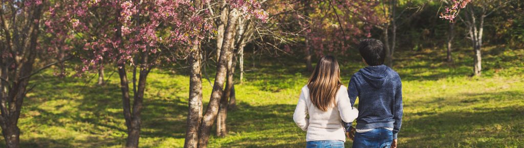 Take a Walk on The Bright Side